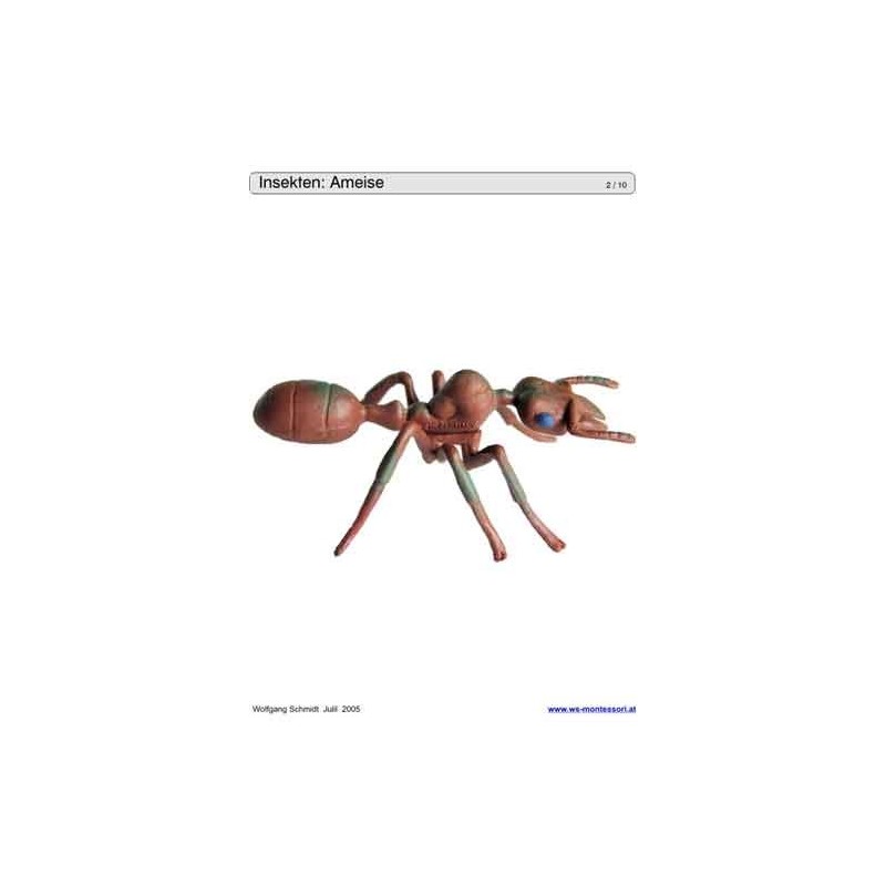 Schiebe- und Aufdeckspieleinlagen - Insekten