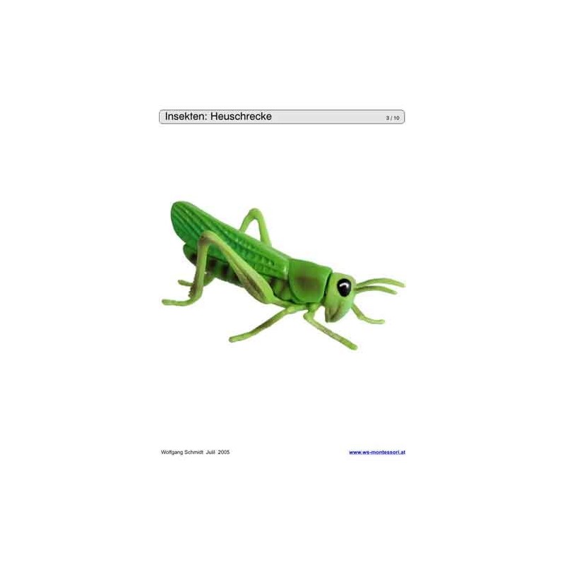 Schiebe- und Aufdeckspieleinlagen - Insekten