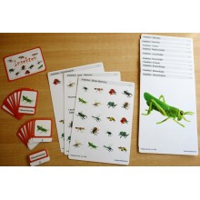 Schiebe- und Aufdeckspieleinlagen - Insekten