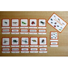 Schiebe- und Aufdeckspieleinlagen - Insekten