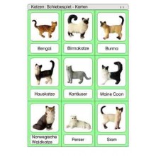 Sliding and turndown inserts - cats