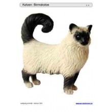 Sliding and turndown inserts - cats