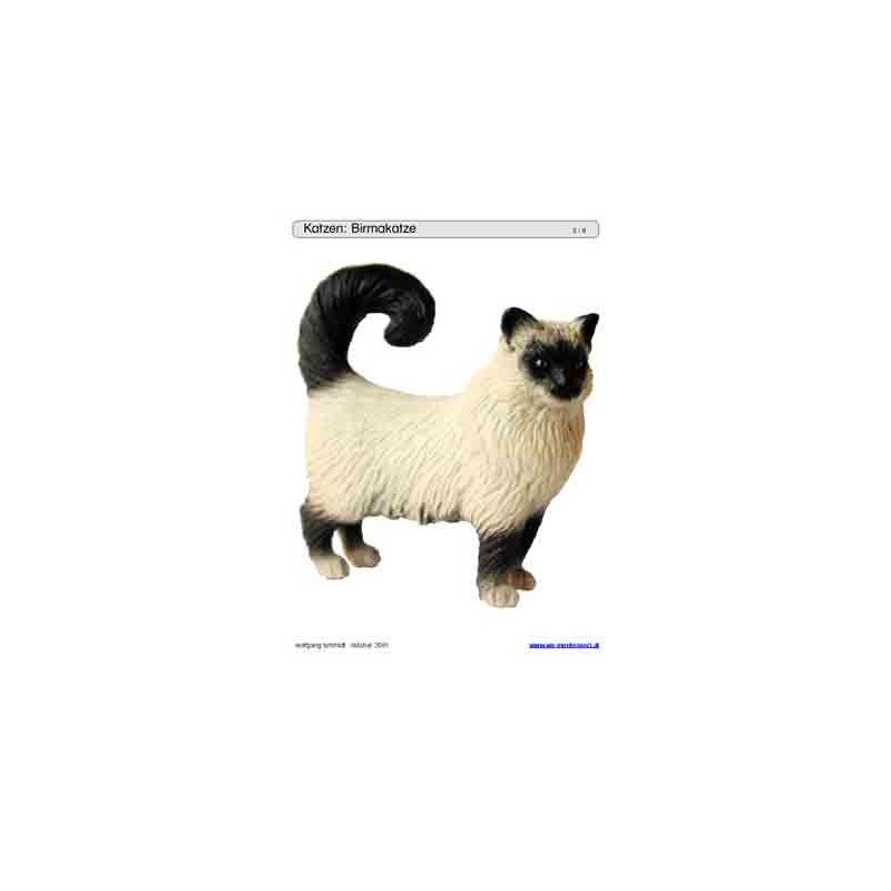 Sliding and turndown inserts - cats