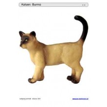 Sliding and turndown inserts - cats