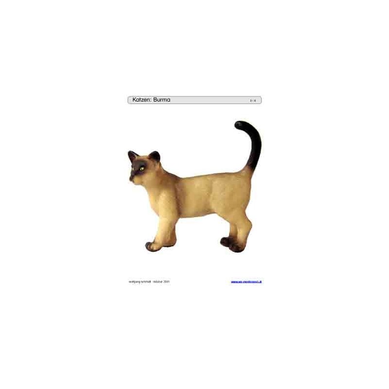 Sliding and turndown inserts - cats