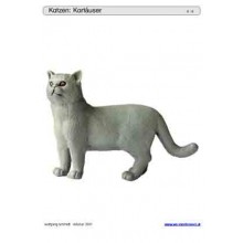 Sliding and turndown inserts - cats