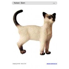 Sliding and turndown inserts - cats