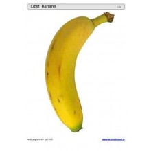 Sliding and turndown inserts - fruit