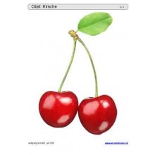 Schiebe- und Aufdeckspieleinlagen - Obst