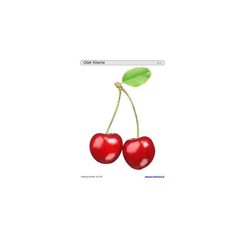 Schiebe- und Aufdeckspieleinlagen - Obst