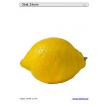 Schiebe- und Aufdeckspieleinlagen - Obst