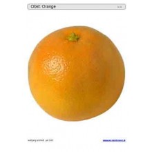 Posuvné a odkrývajúce vložky do hry - ovocie