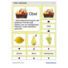 Schiebe- und Aufdeckspieleinlagen - Obst