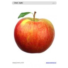 Schiebe- und Aufdeckspieleinlagen - Obst