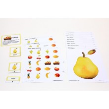 Schiebe- und Aufdeckspieleinlagen - Obst