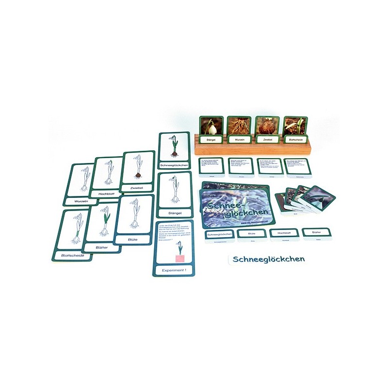 Schneeglöckchen (This item is available in english)