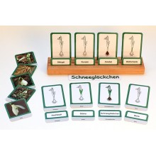 Schneeglöckchen (This item is available in english)