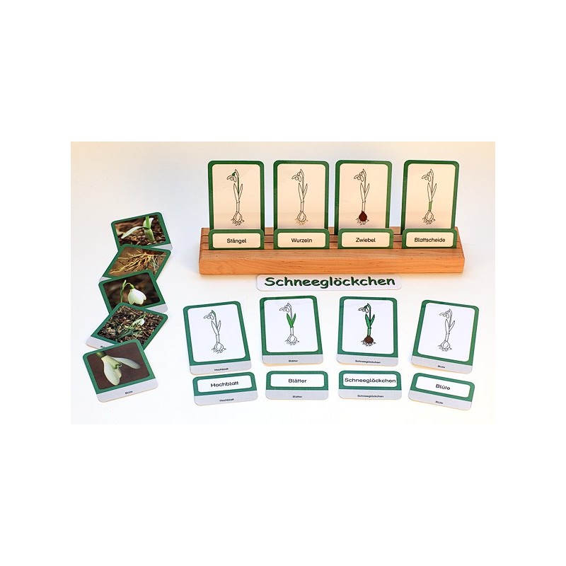 Schneeglöckchen (This item is available in english)