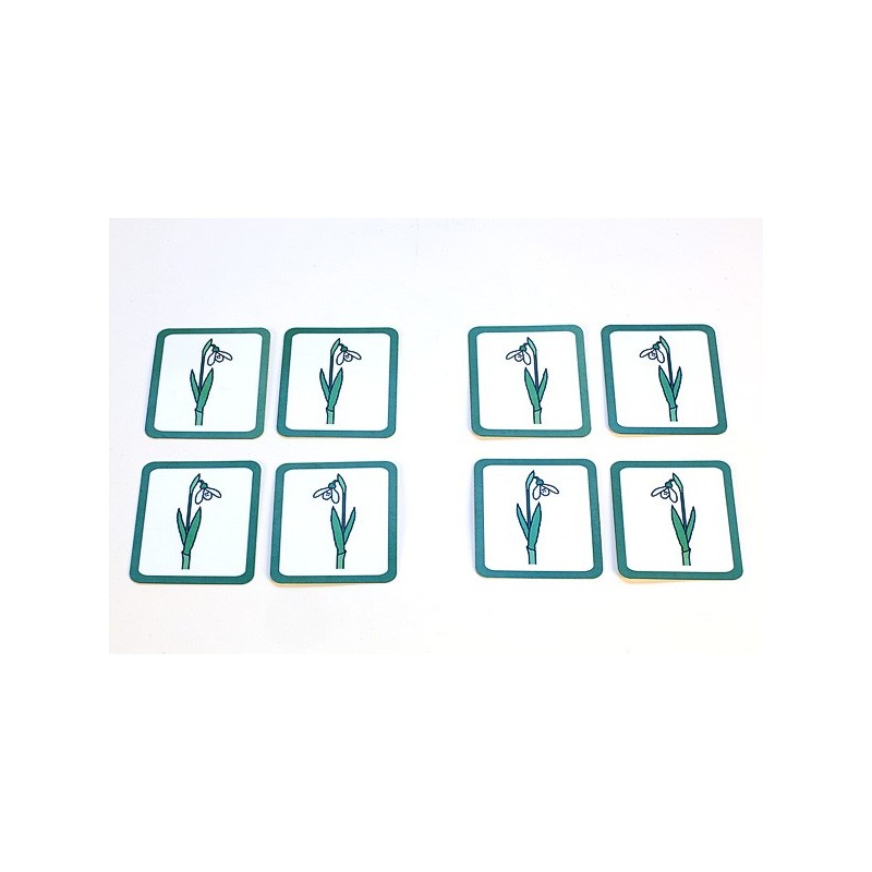 Snežienky (Táto položka je k dispozícii v angličtine)