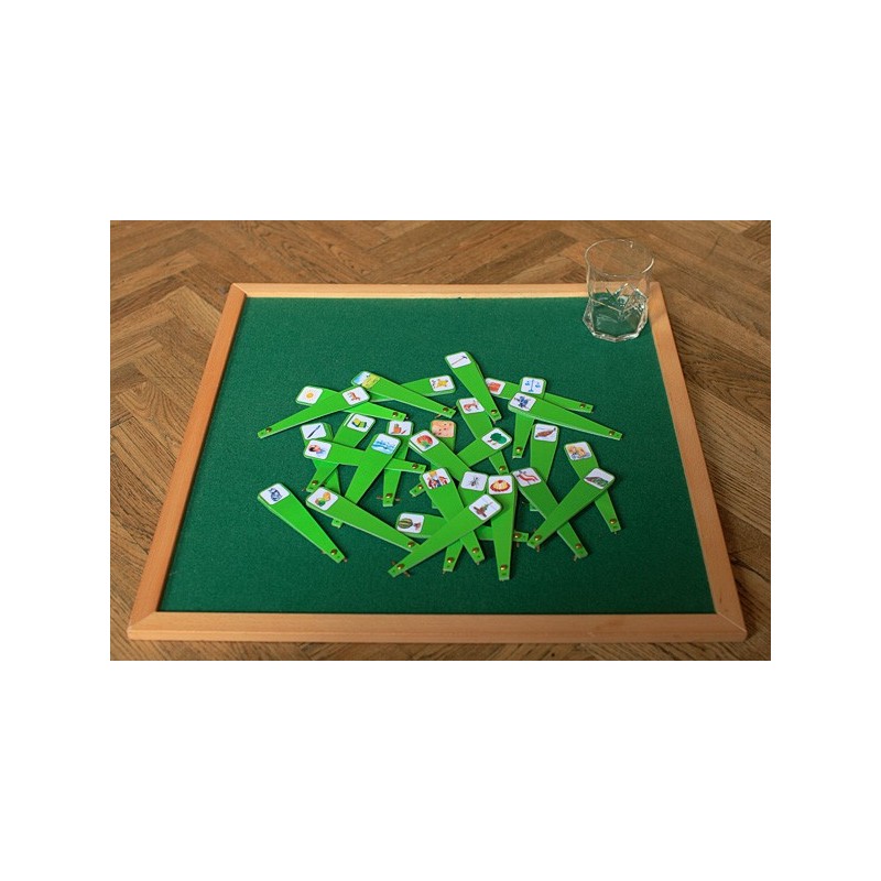 Writing compartments - phonograms