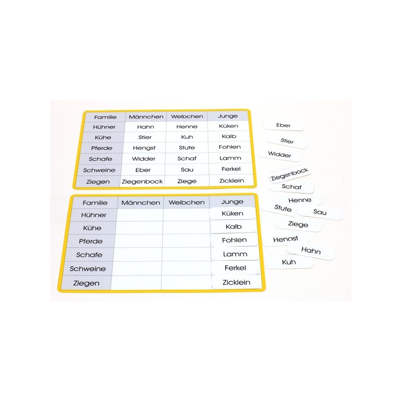 Tierfamilien (This item is available in english)