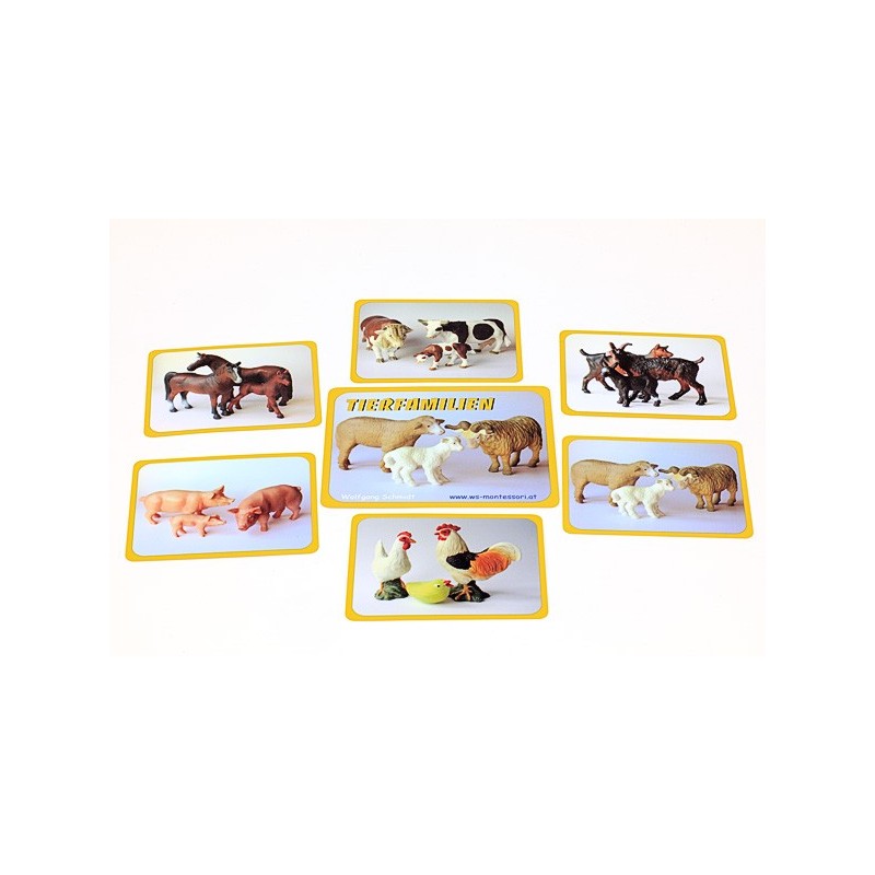 Tierfamilien (This item is available in english)