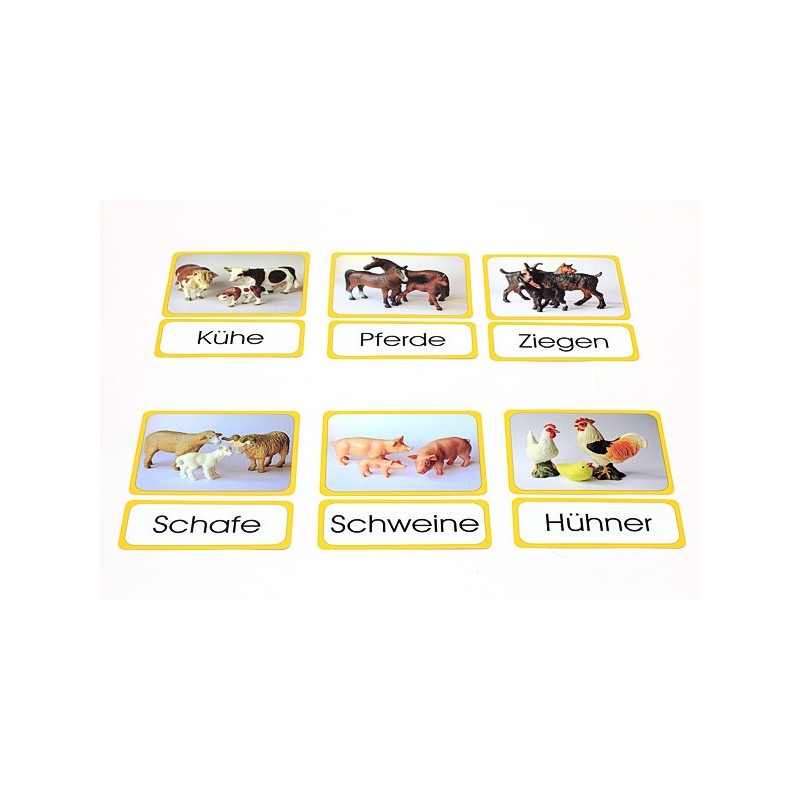 Tierfamilien (This item is available in english)