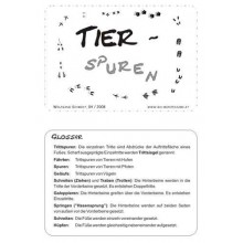 Tierspuren