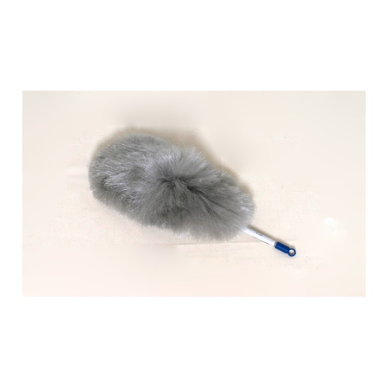 Feather duster Feather duster