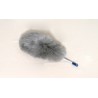 Feather duster Feather duster