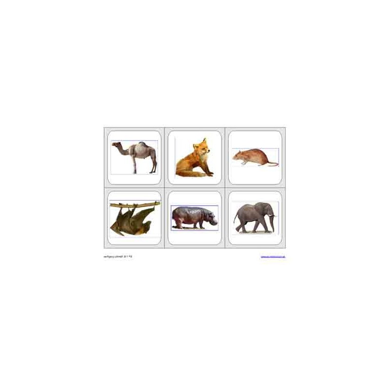 Wirbeltiere (This item is available in english)