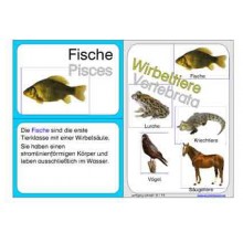 Vertebrates (This item is available in english)