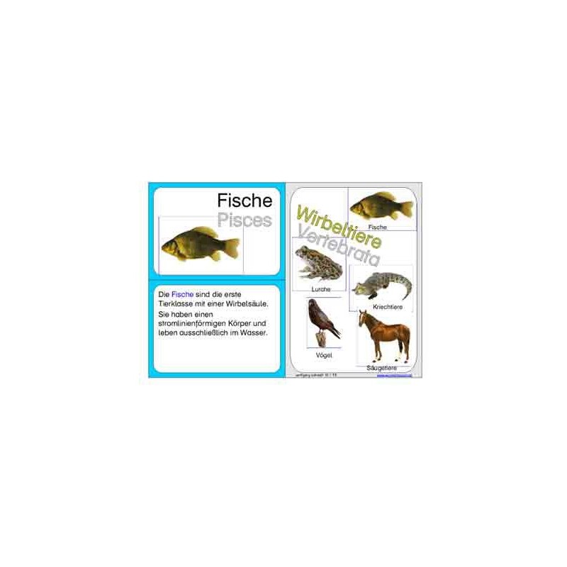 Vertebrates (This item is available in english)