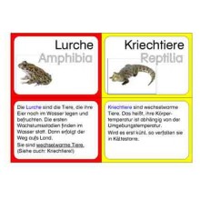 Vertebrates (This item is available in english)