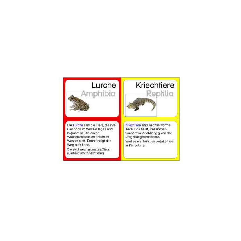 Vertebrates (This item is available in english)