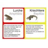 Vertebrates (This item is available in english)