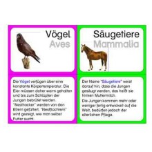 Wirbeltiere (This item is available in english)