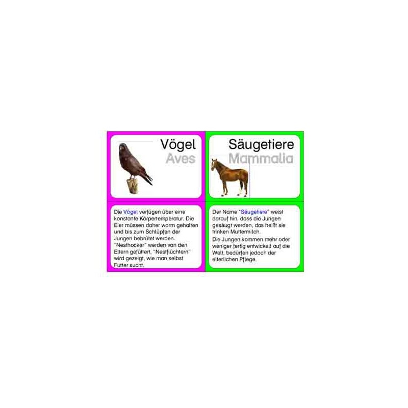 Vertebrates (This item is available in english)