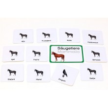 Vertebrates (This item is available in english)