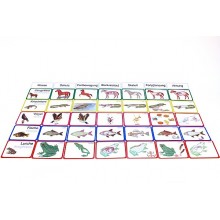 Vertebrates (This item is available in english)