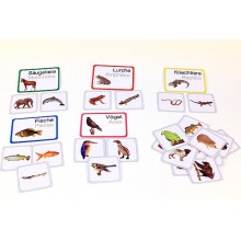 Vertebrates (This item is available in english)