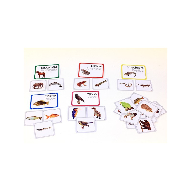 Vertebrates (This item is available in english)