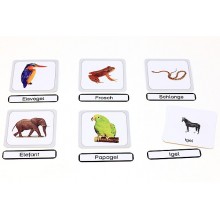 Vertebrates (This item is available in english)