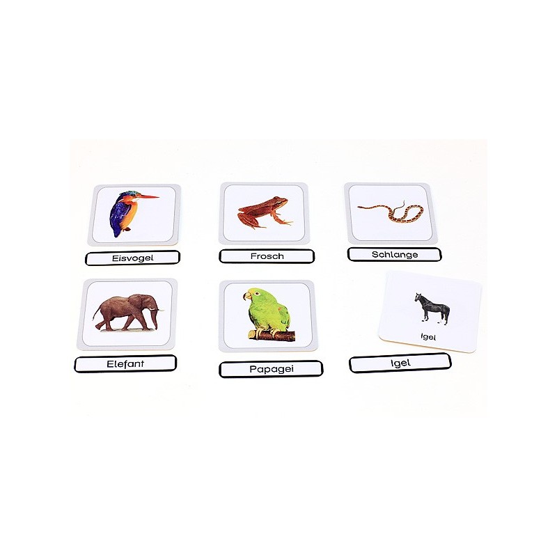 Vertebrates (This item is available in english)