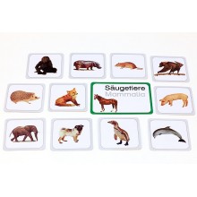 Wirbeltiere (This item is available in english)