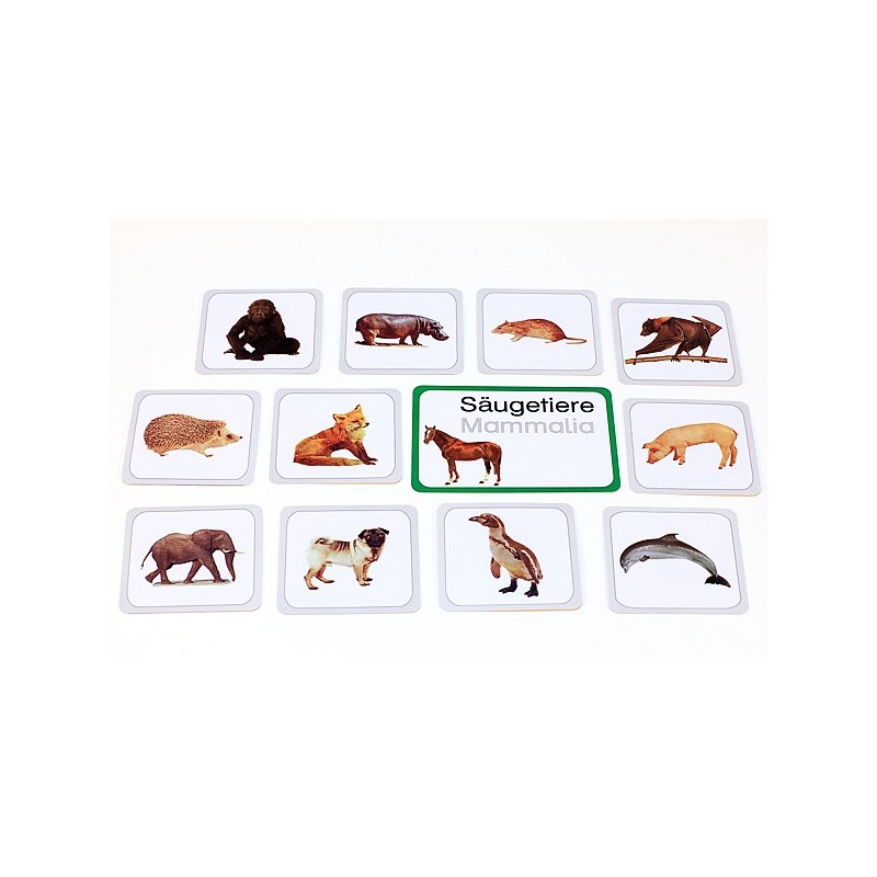 Vertebrates (This item is available in english)