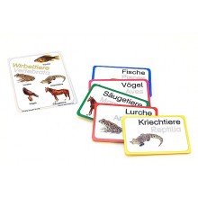 Vertebrates (This item is available in english)