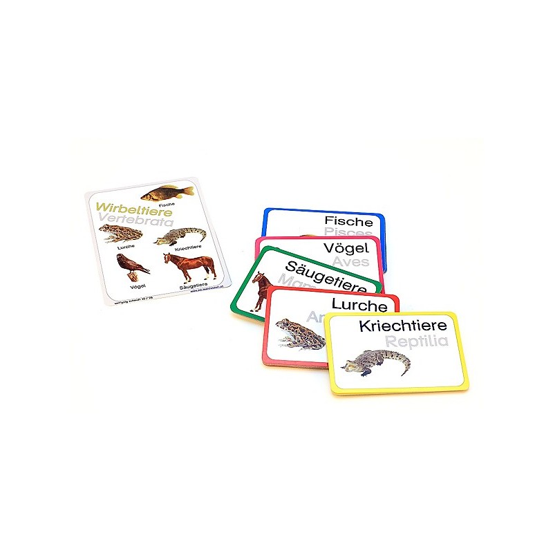 Vertebrates (This item is available in english)